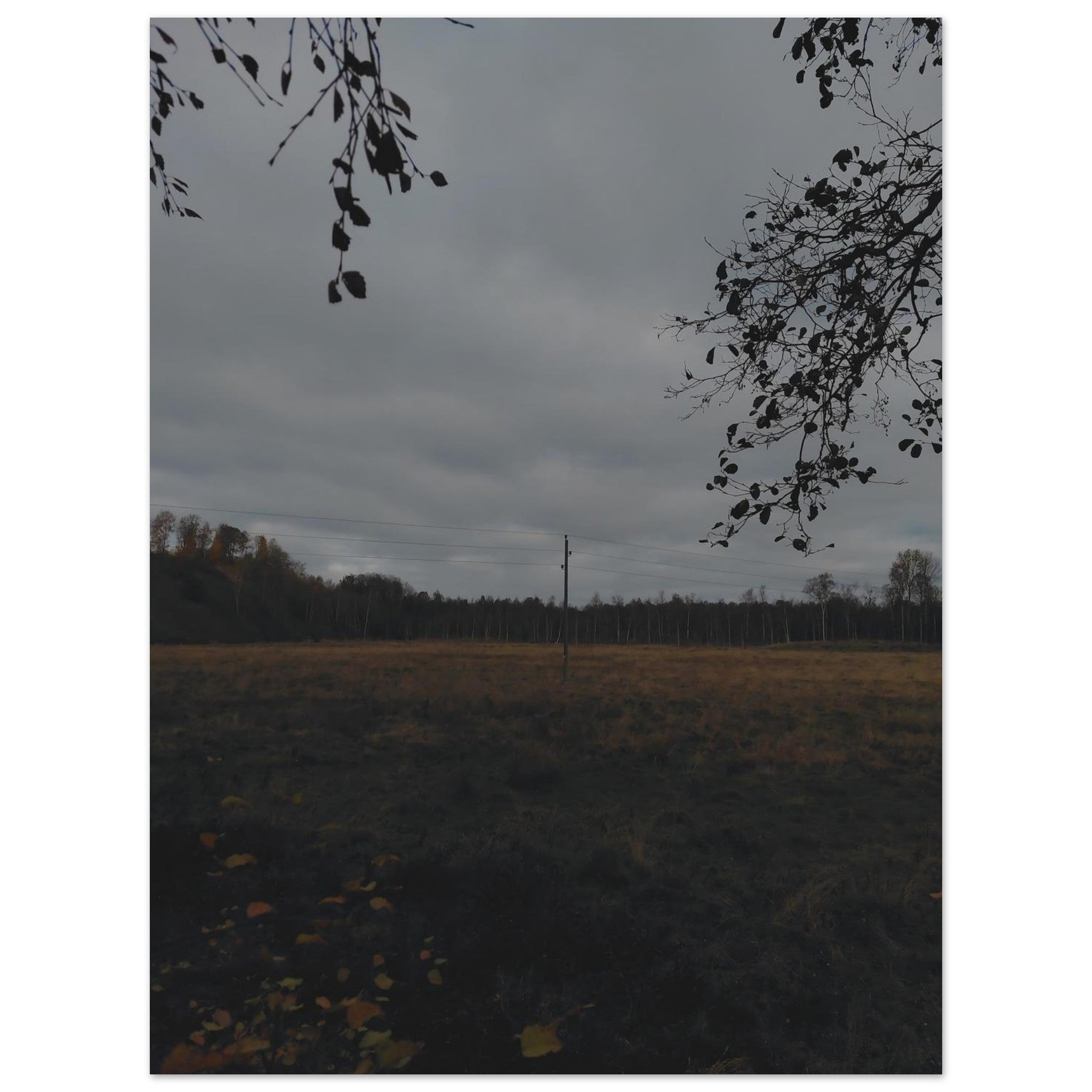 e8a6abef-be6e-4d6a-a2e4-01f35bd3e43b