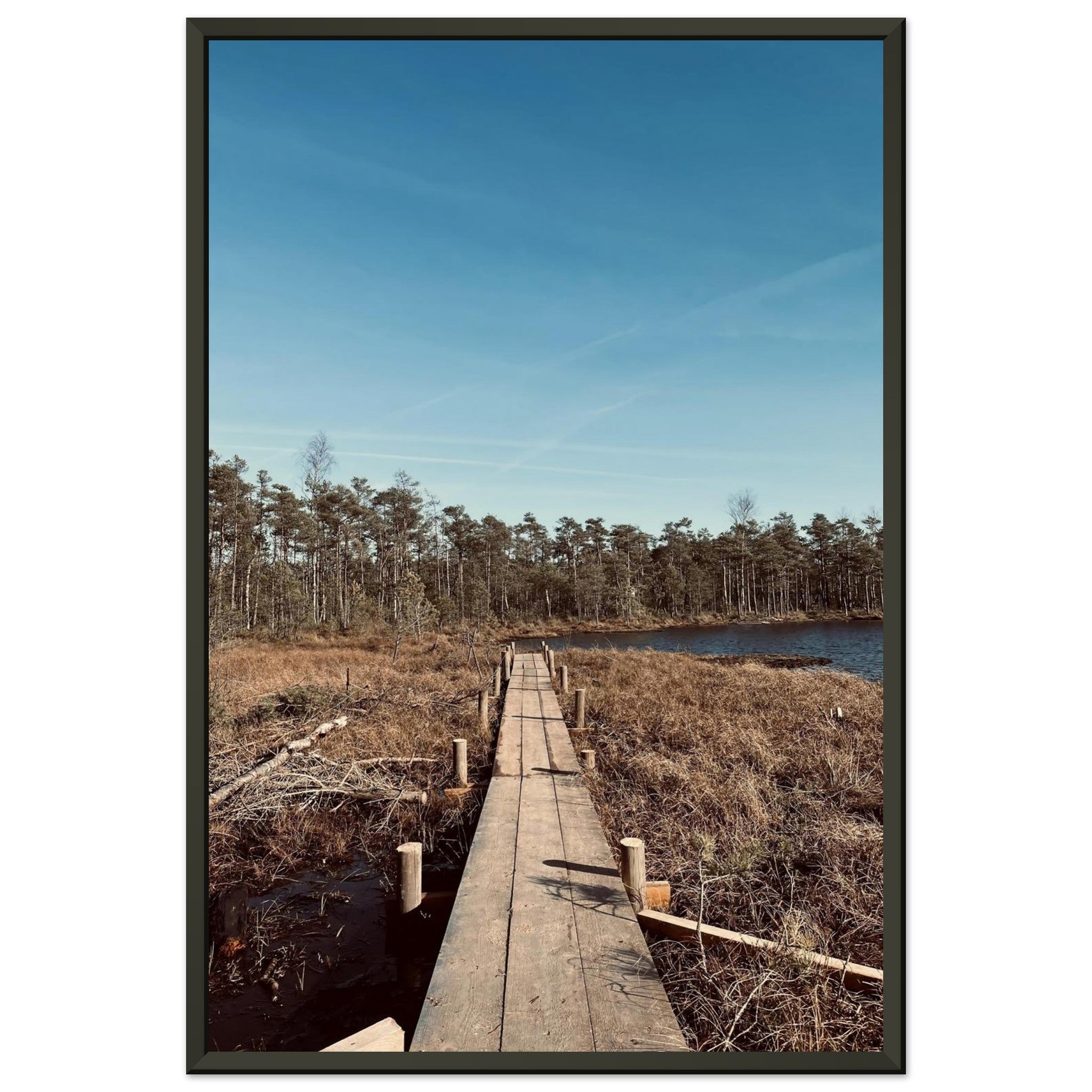 f317a2e4-57fc-45d3-bb55-374aec822a49