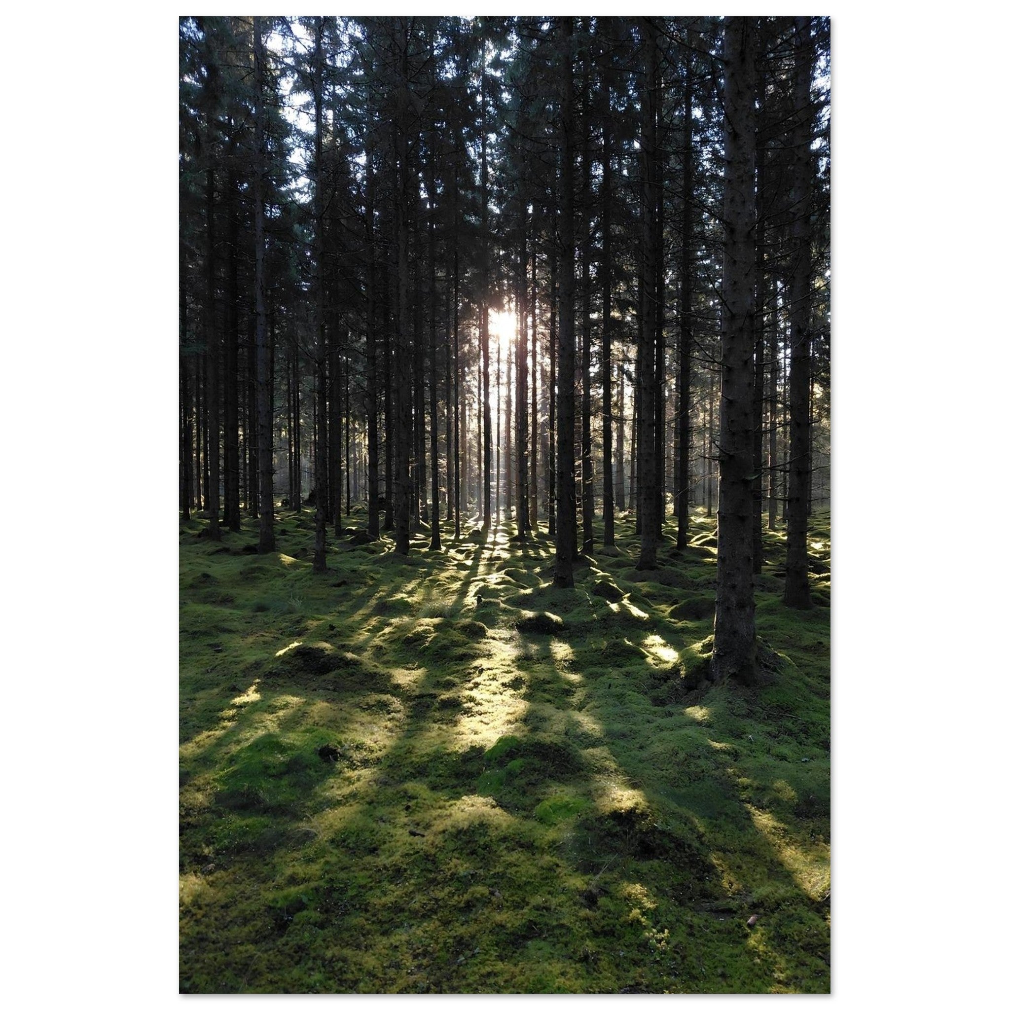 fdb780ac-b009-4296-b7bc-fd83ee4cffb2